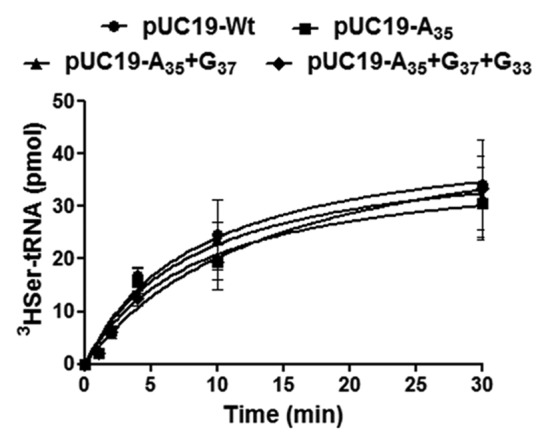 graphic file with name rna-10-968-g4.jpg