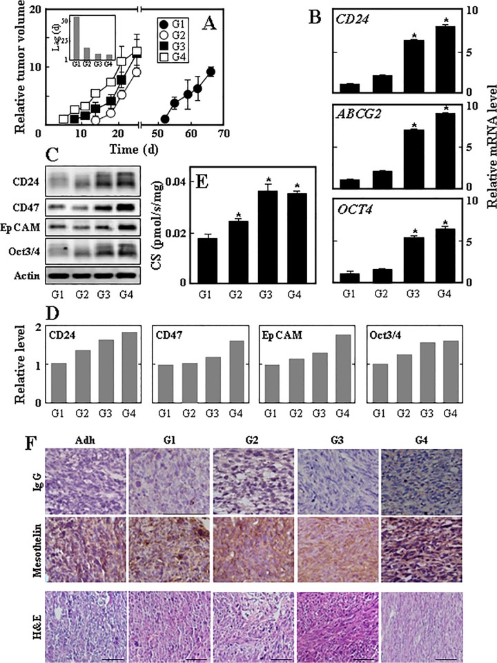 Fig 4