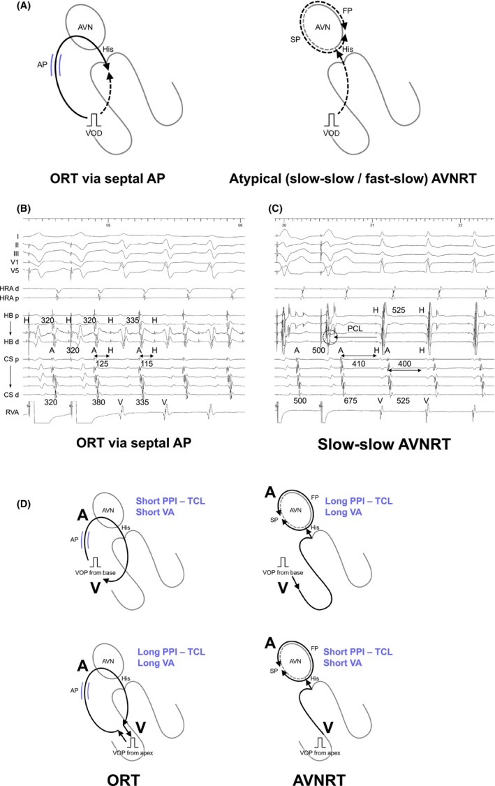 FIGURE 9