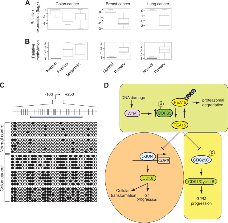 FIG 10