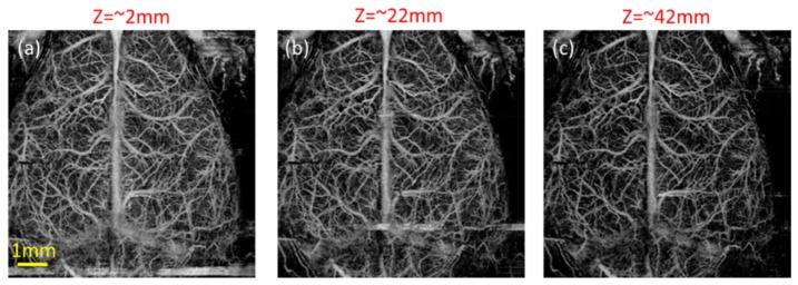 Fig. 6