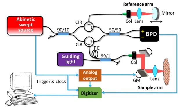 Fig. 1