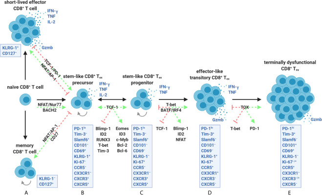 Figure 4