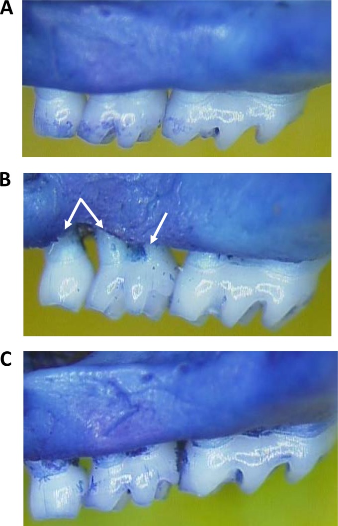 FIG 2