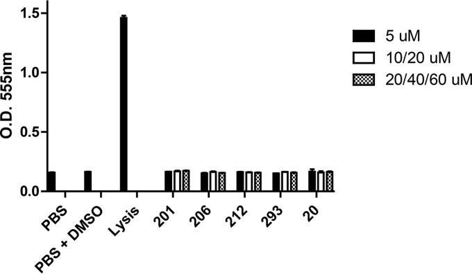 FIG 6