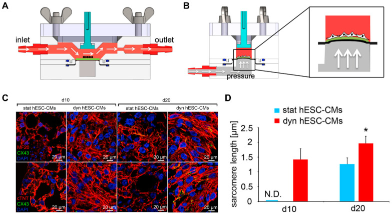 Figure 20