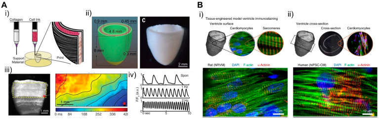 Figure 21