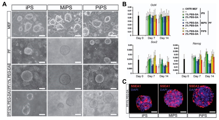 Figure 14