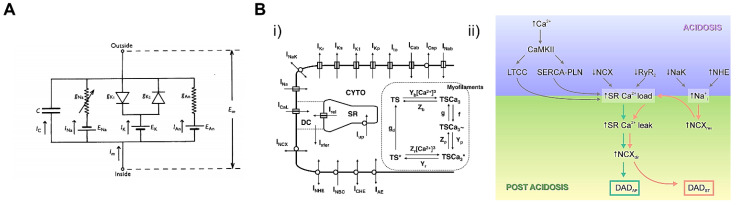 Figure 22