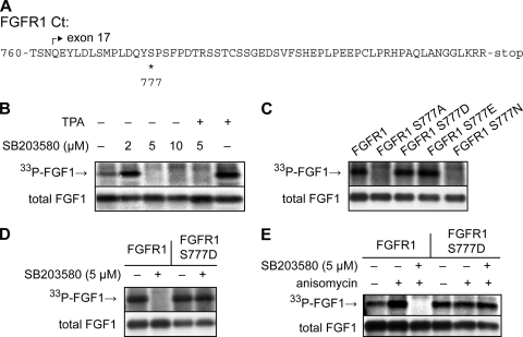 FIG. 7.