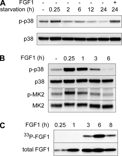 FIG. 5.