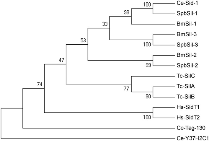 Figure 6