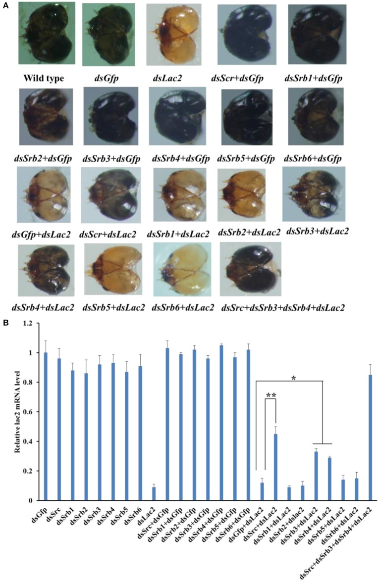 Figure 14