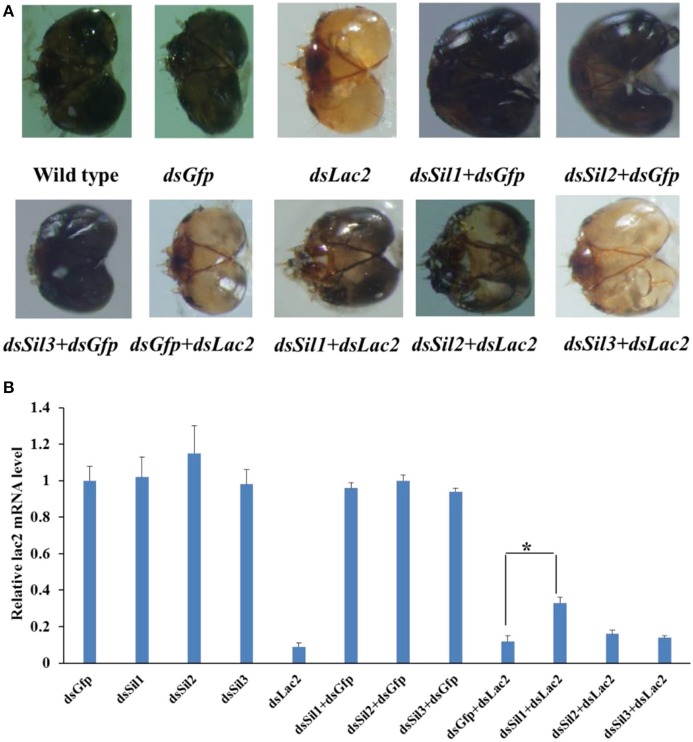 Figure 13