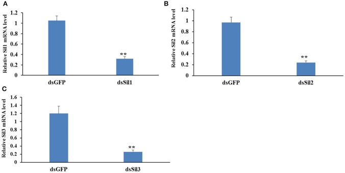 Figure 12