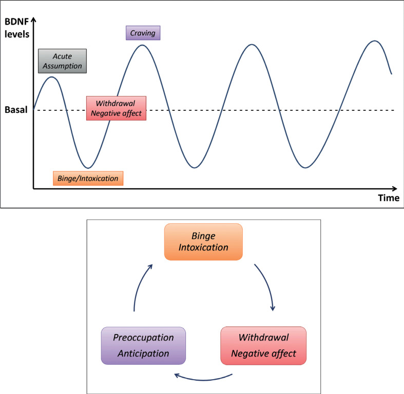 Fig. (1)