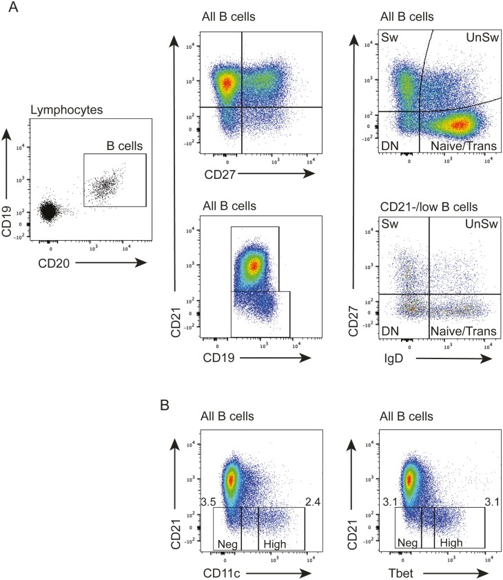 Figure 1: