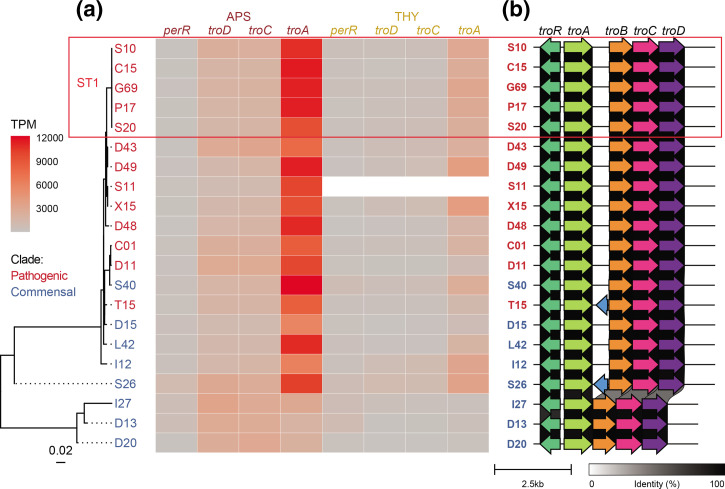 Fig. 4.