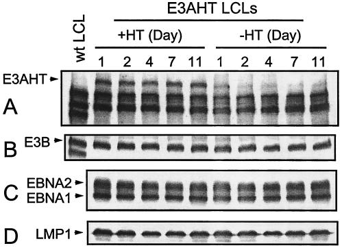 FIG. 7.