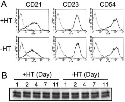 FIG. 8.