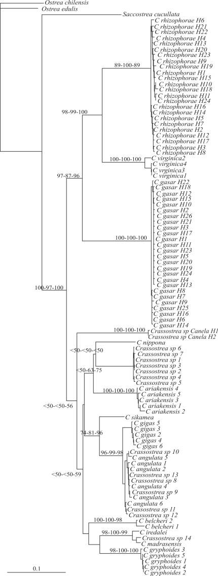 Figure 3