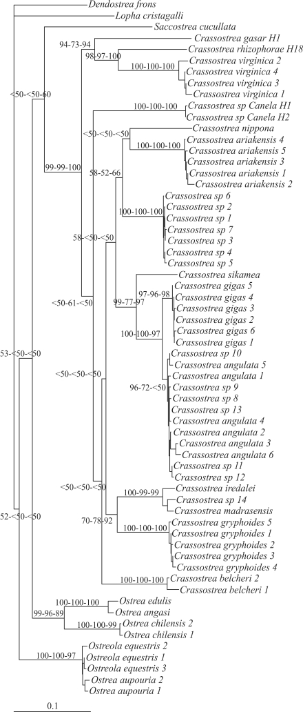 Figure 2