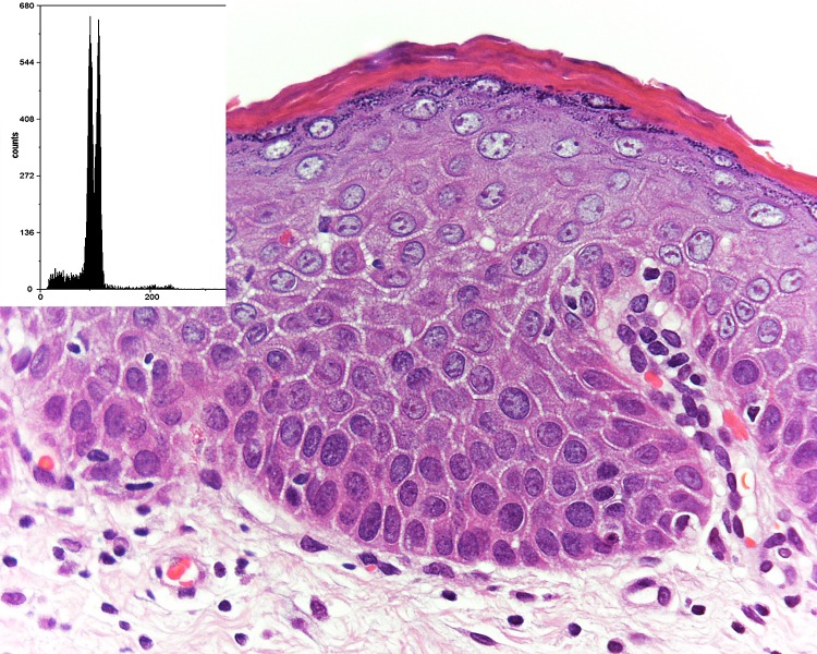 Fig. 3