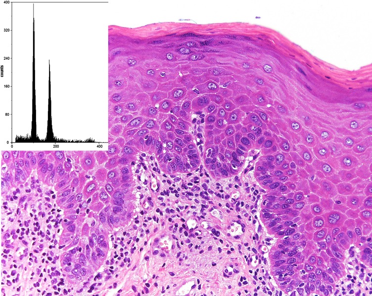 Fig. 4