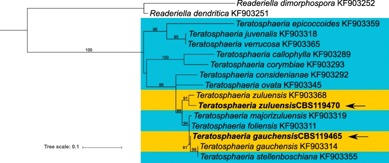 Fig. 3