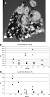 FIG. 2.
