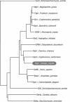 FIG. 1.