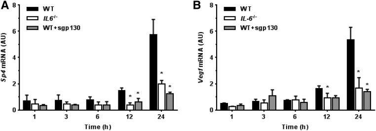 Figure 6.