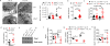 Ext. Data Fig. 6