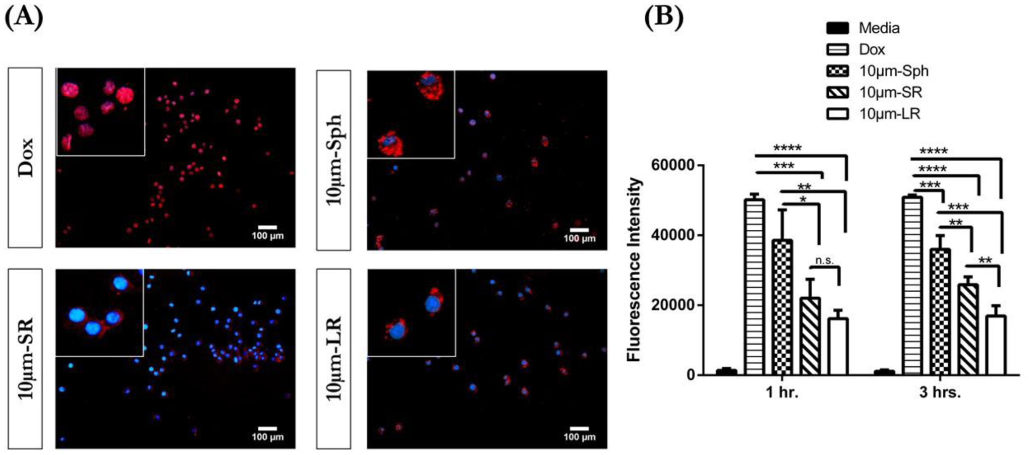 Figure 7: