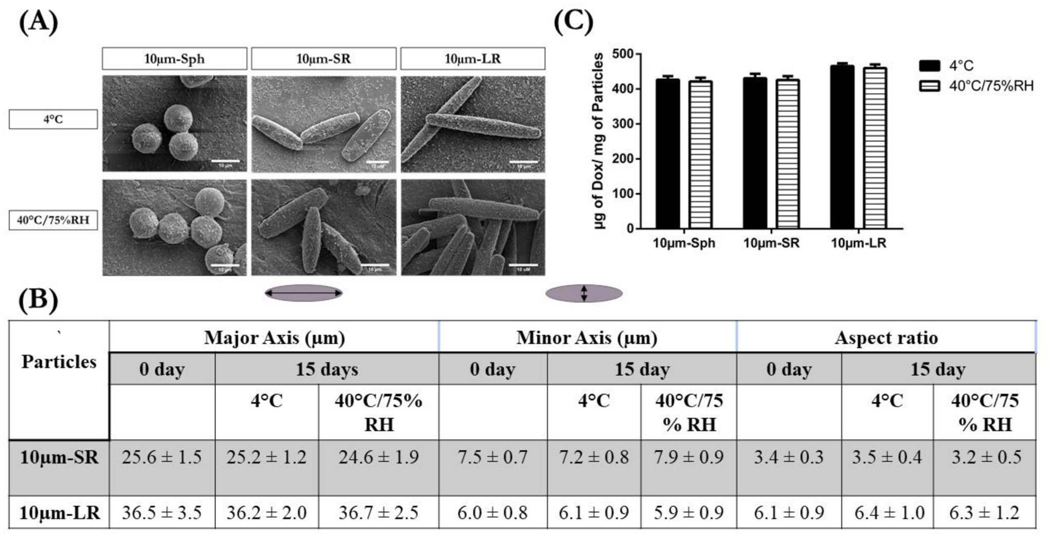 Figure 5: