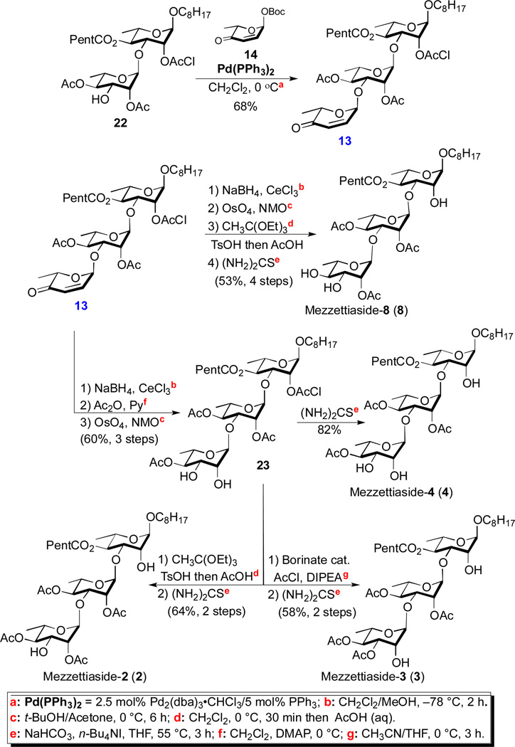 Scheme 4