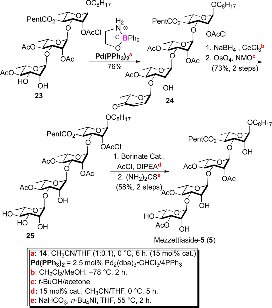 Scheme 5