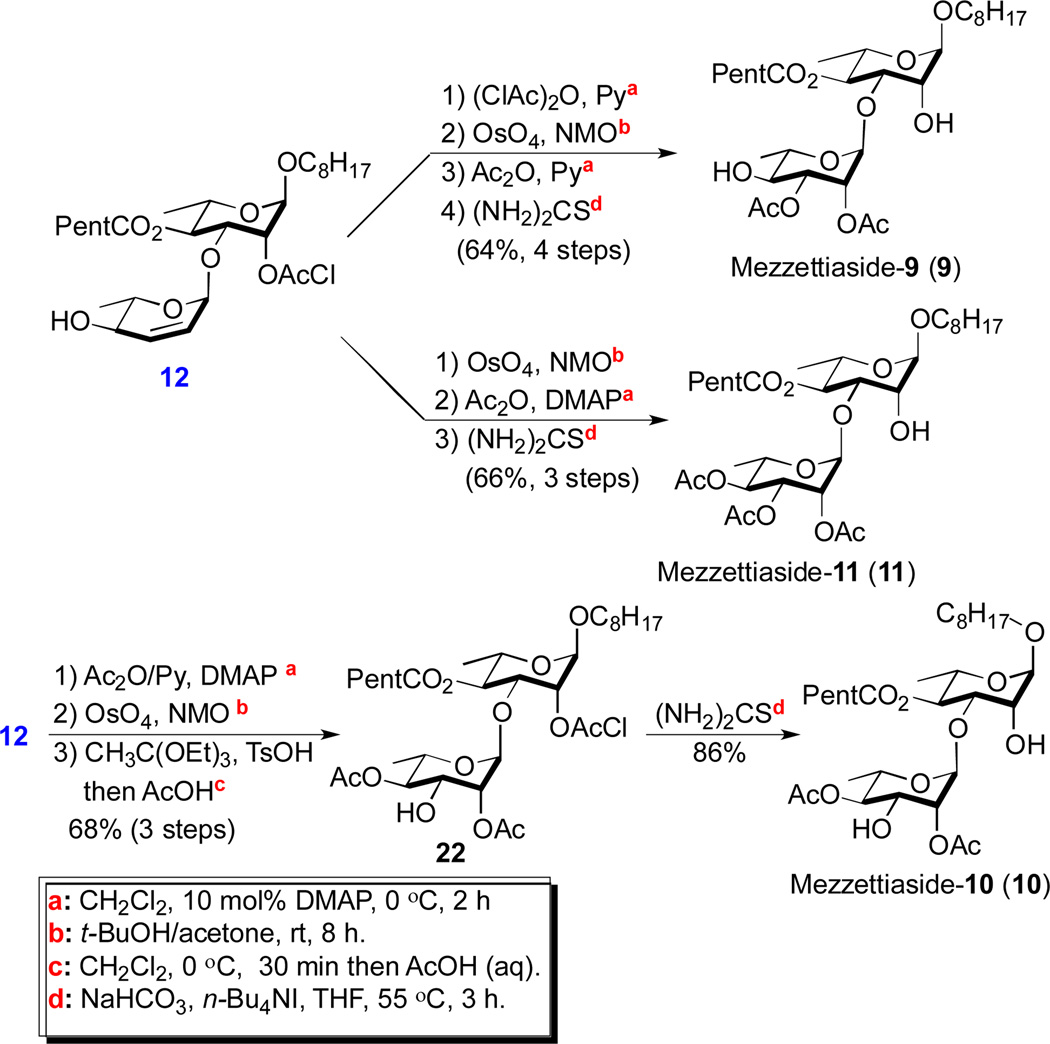 Scheme 3