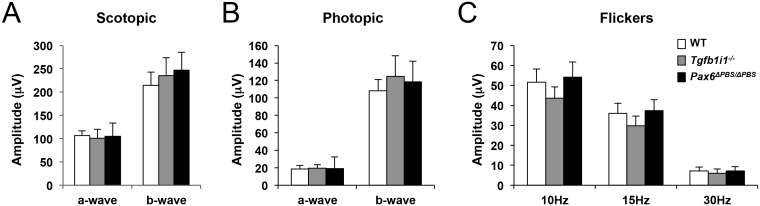 Figure 7—figure supplement 1.