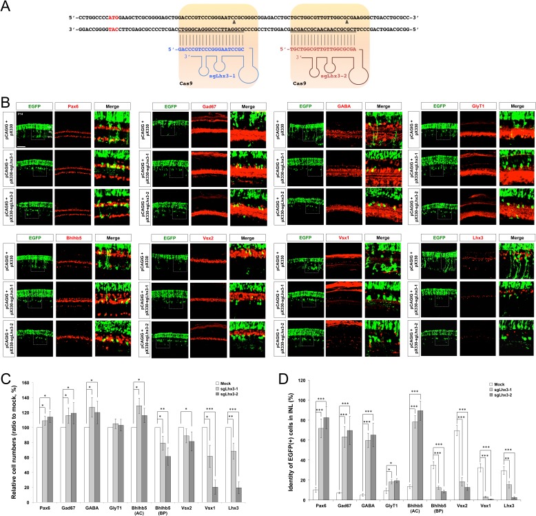 Figure 4—figure supplement 2.