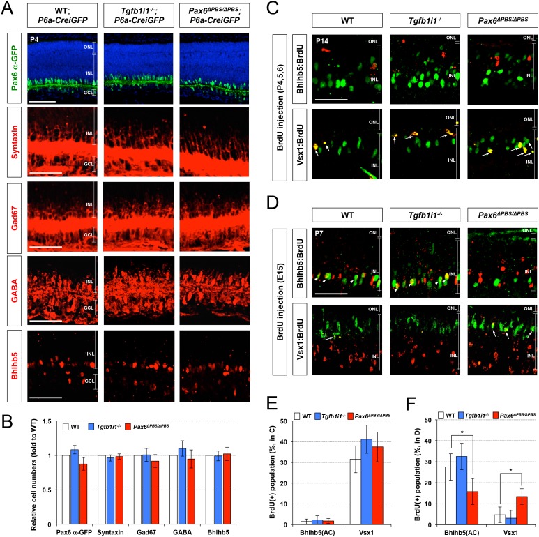 Figure 6—figure supplement 3.