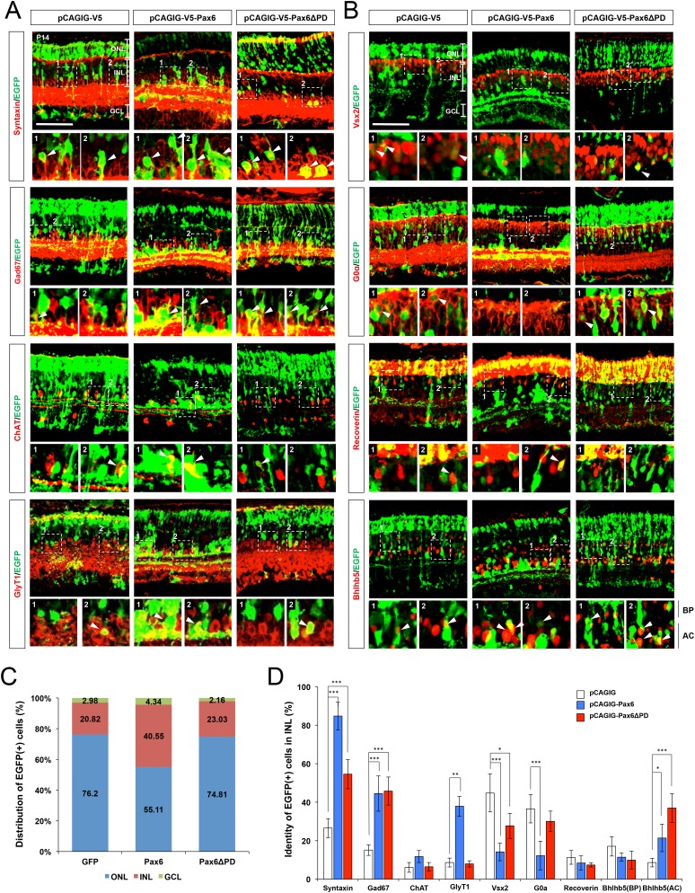 Figure 5—figure supplement 2.