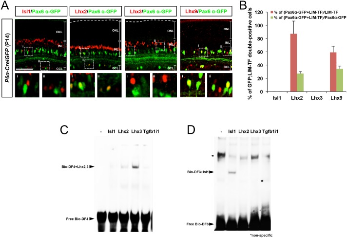 Figure 1—figure supplement 3.