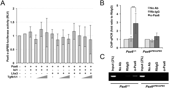 Figure 6—figure supplement 1.