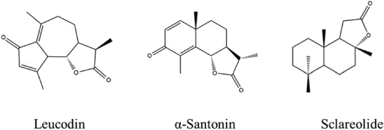 Fig. 1