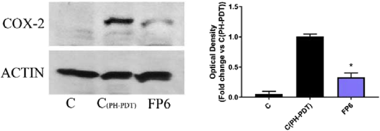 Fig. 11