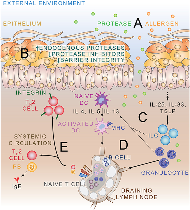 Fig 2.