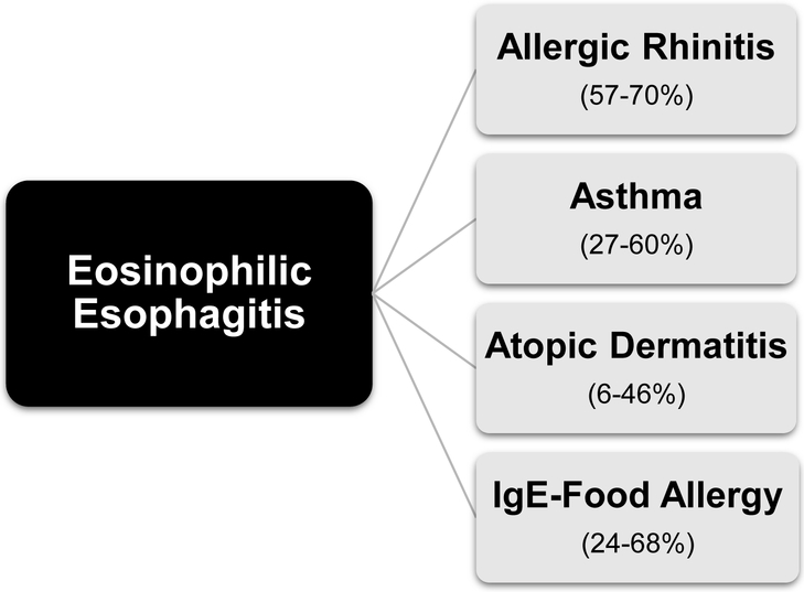 Fig 1.