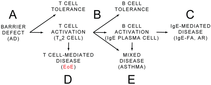 Fig 4.