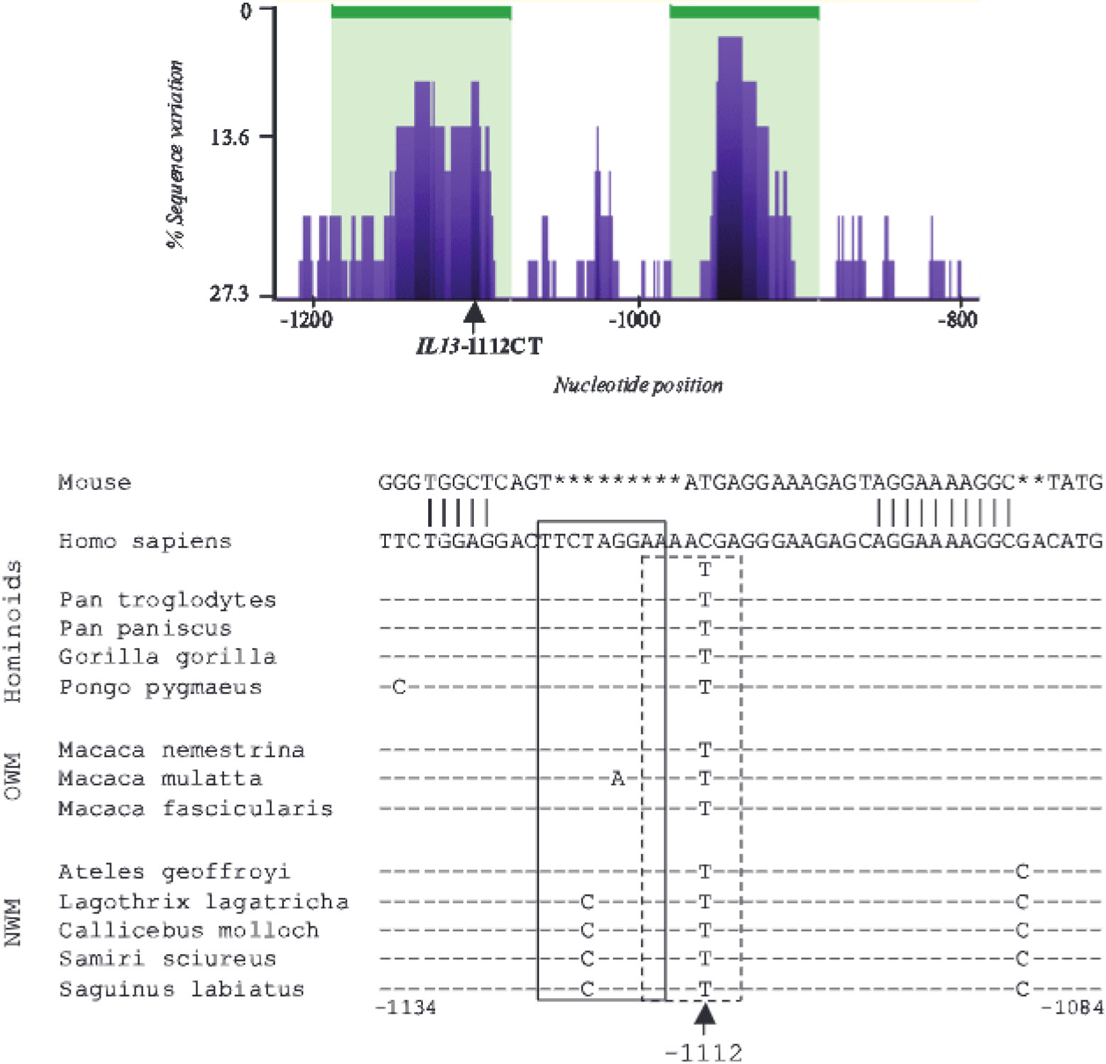 FIGURE 1.